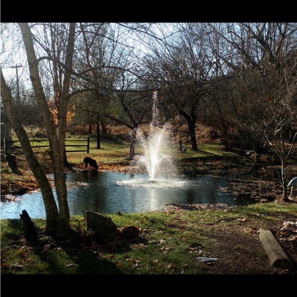 Pool/pond fountain